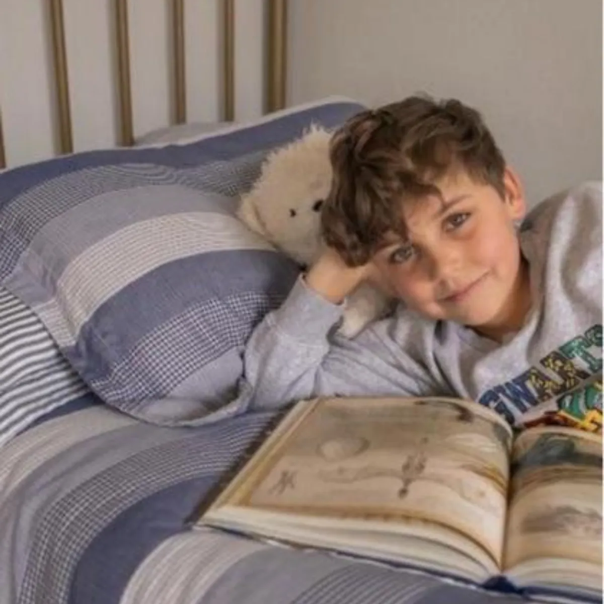Cotton Cotton Comforter Quilt and Shams - Navy Mixed Gingham