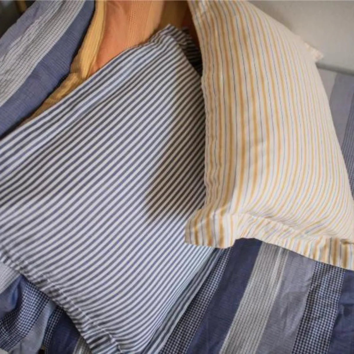 Cotton Cotton Comforter Quilt and Shams - Navy Mixed Gingham