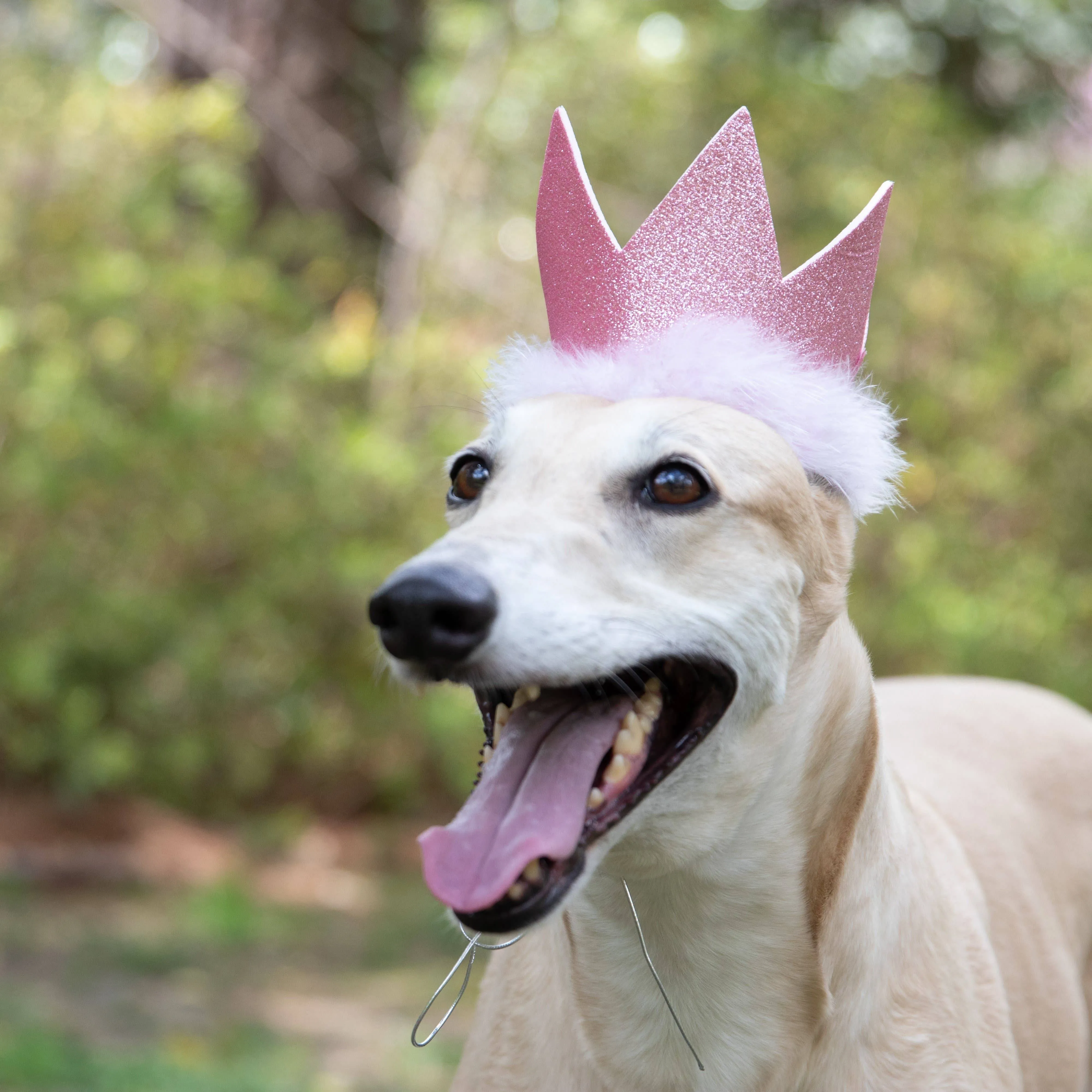 H&K Party Crown - Pink with SnugFit®