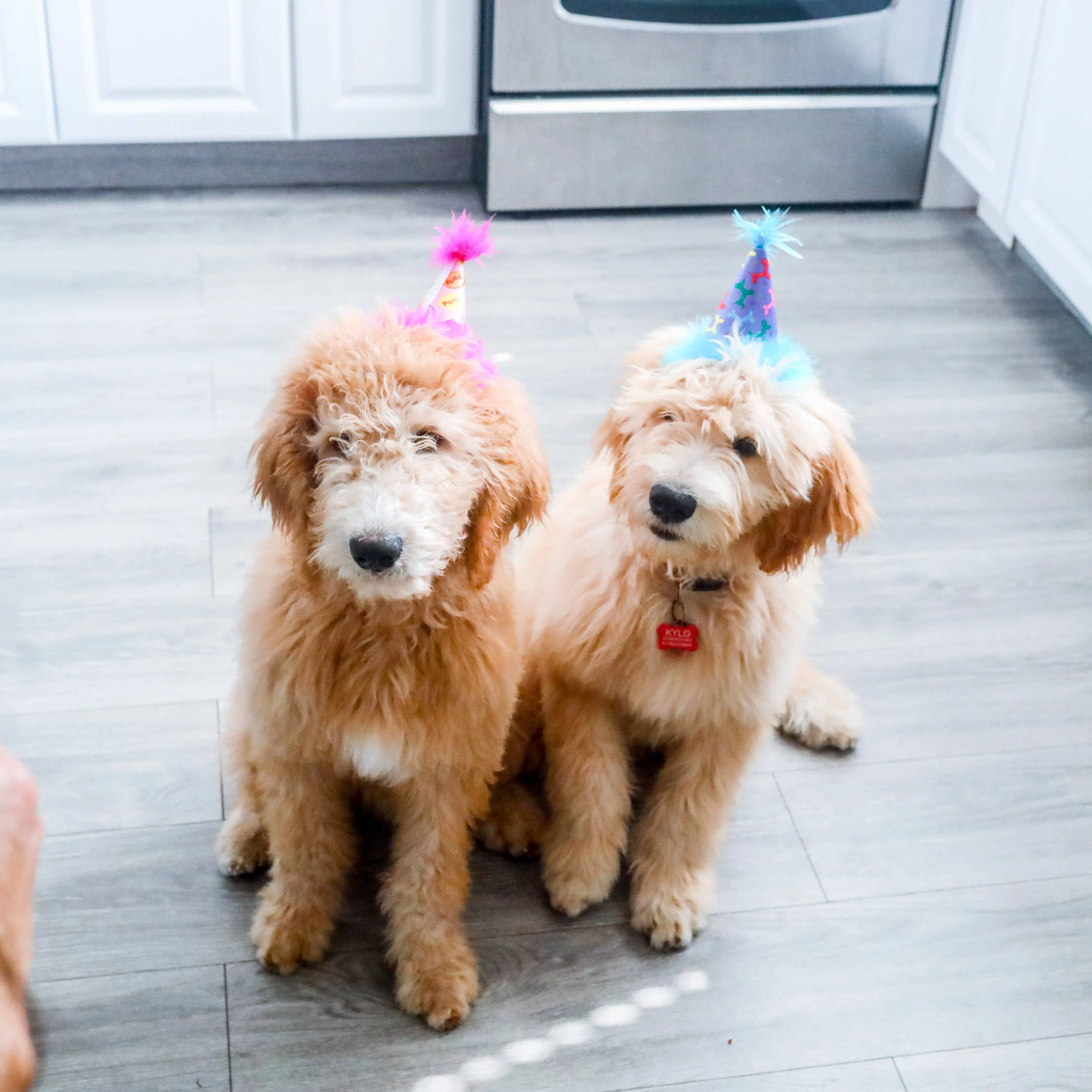 H&K Party Hat - Party Time Pink with SnugFit®