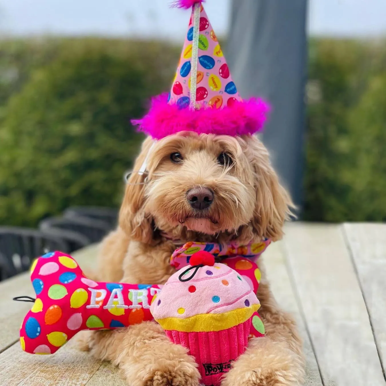 H&K Party Hat - Party Time Pink with SnugFit®