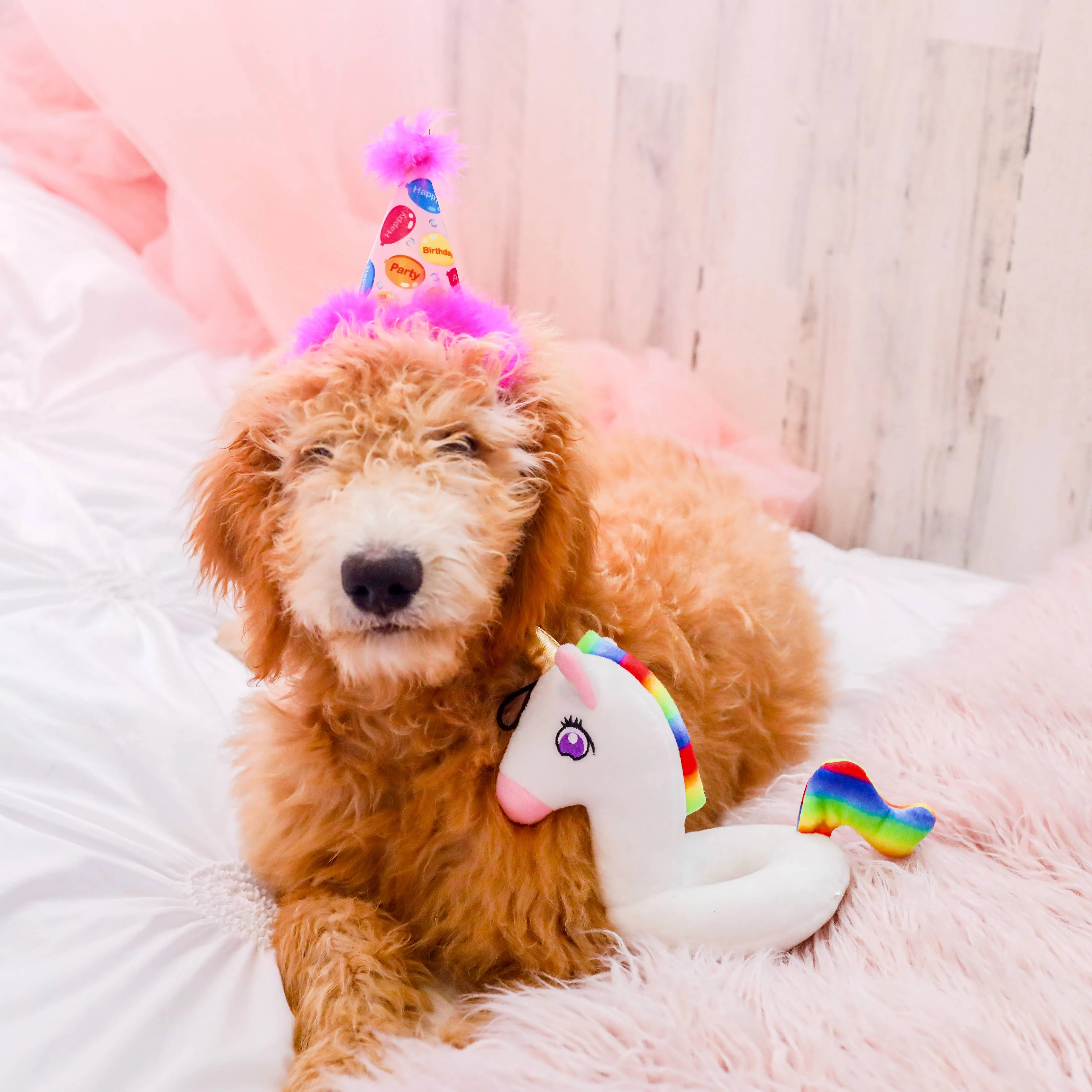 H&K Party Hat - Party Time Pink with SnugFit®