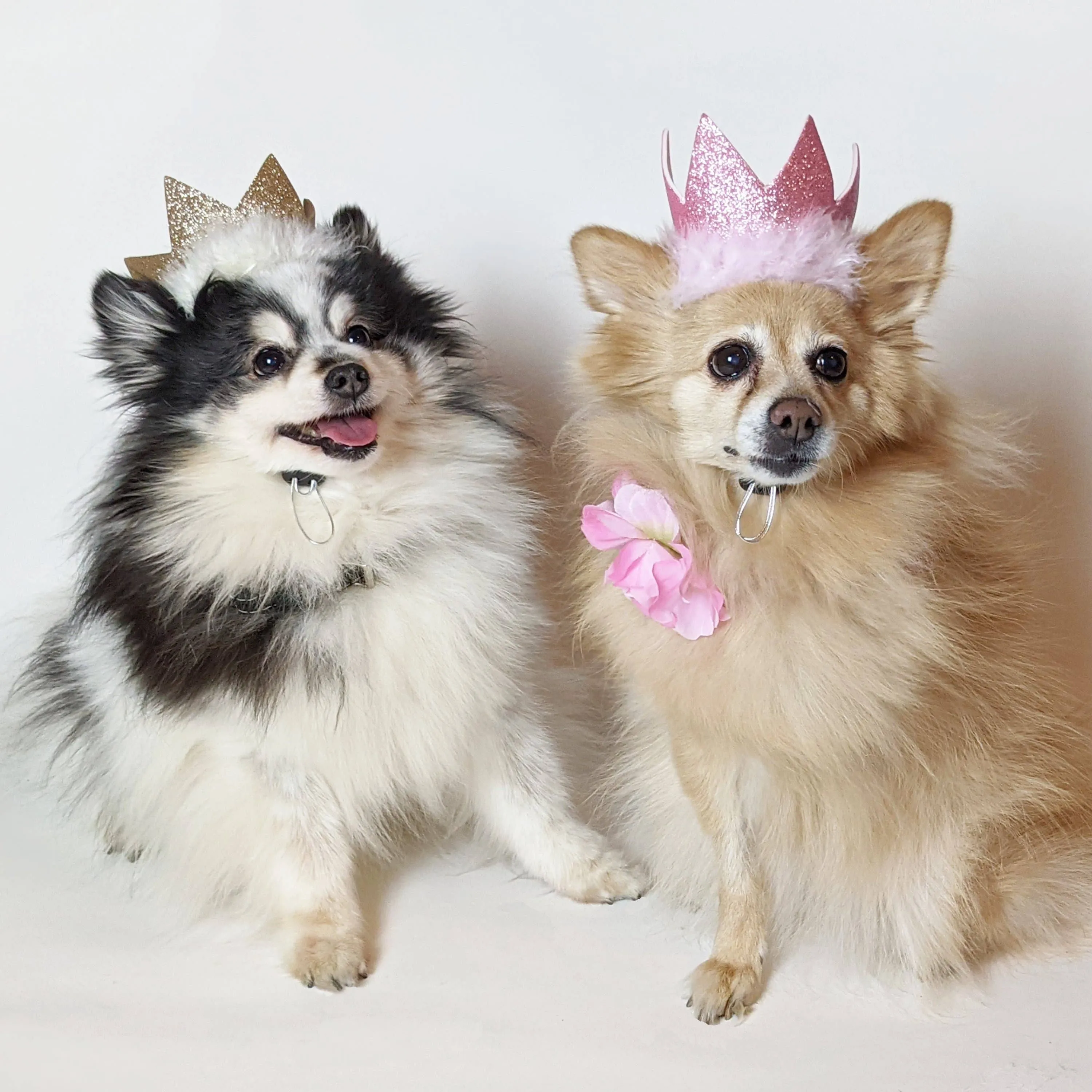 Huxley & Kent - H&K Party Crown Pink with SnugFit®