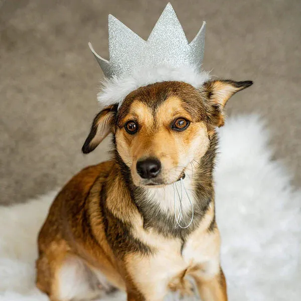 Huxley & Kent Party Crowns With SnugFit