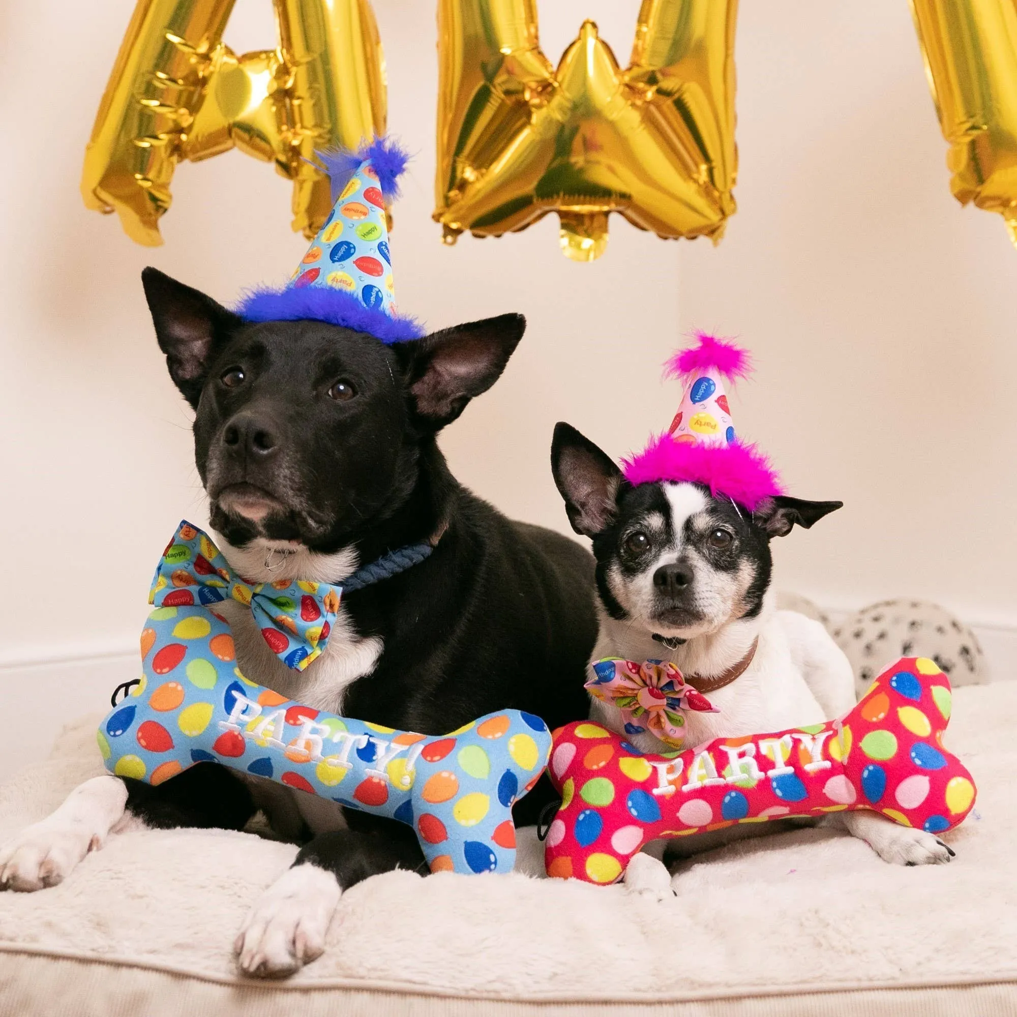 Huxley & Kent - Party Hat Party Time Blue with SnugFit®