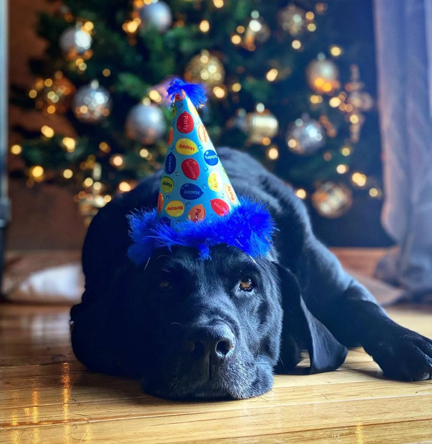 Huxley & Kent - Party Hat Party Time Blue with SnugFit®