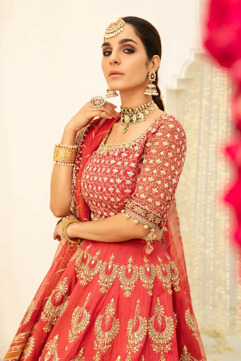 Light Gold Red Lehenga Choli Pakistani Bridal Dresses