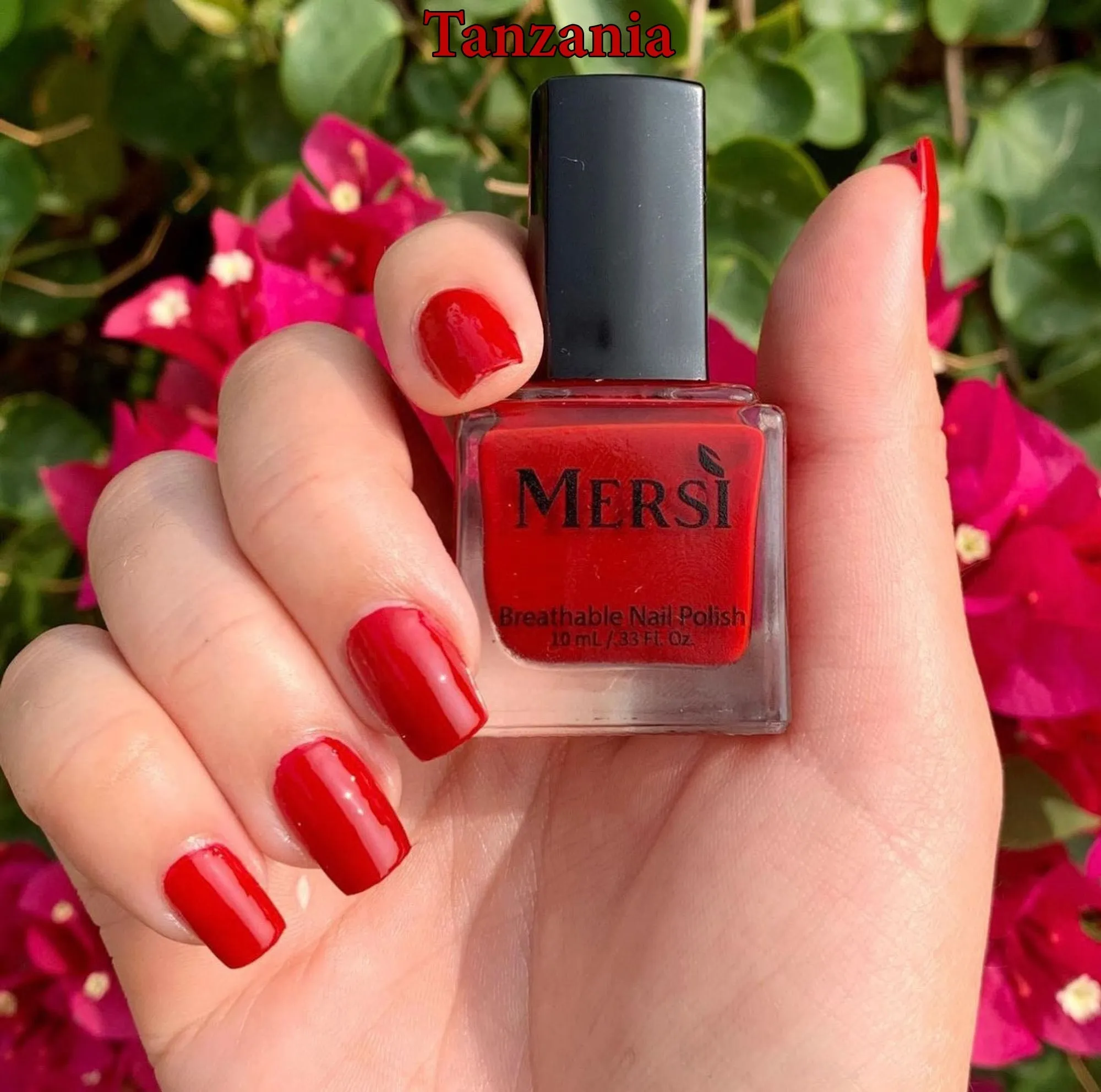 Red 3 Piece Nail Set