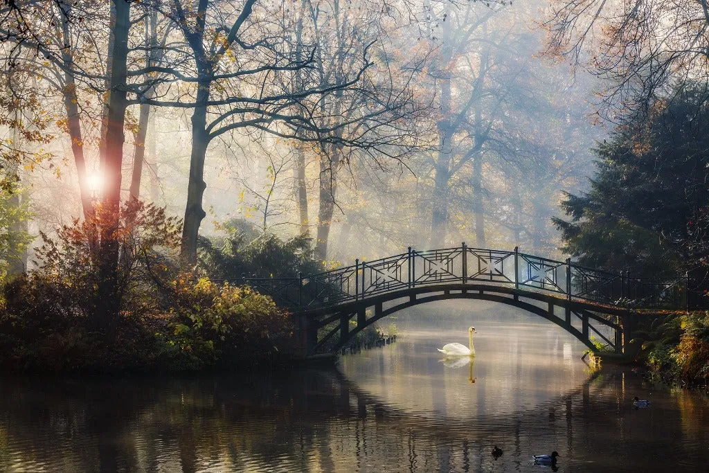 Romantic Bridge Wallpaper Mural