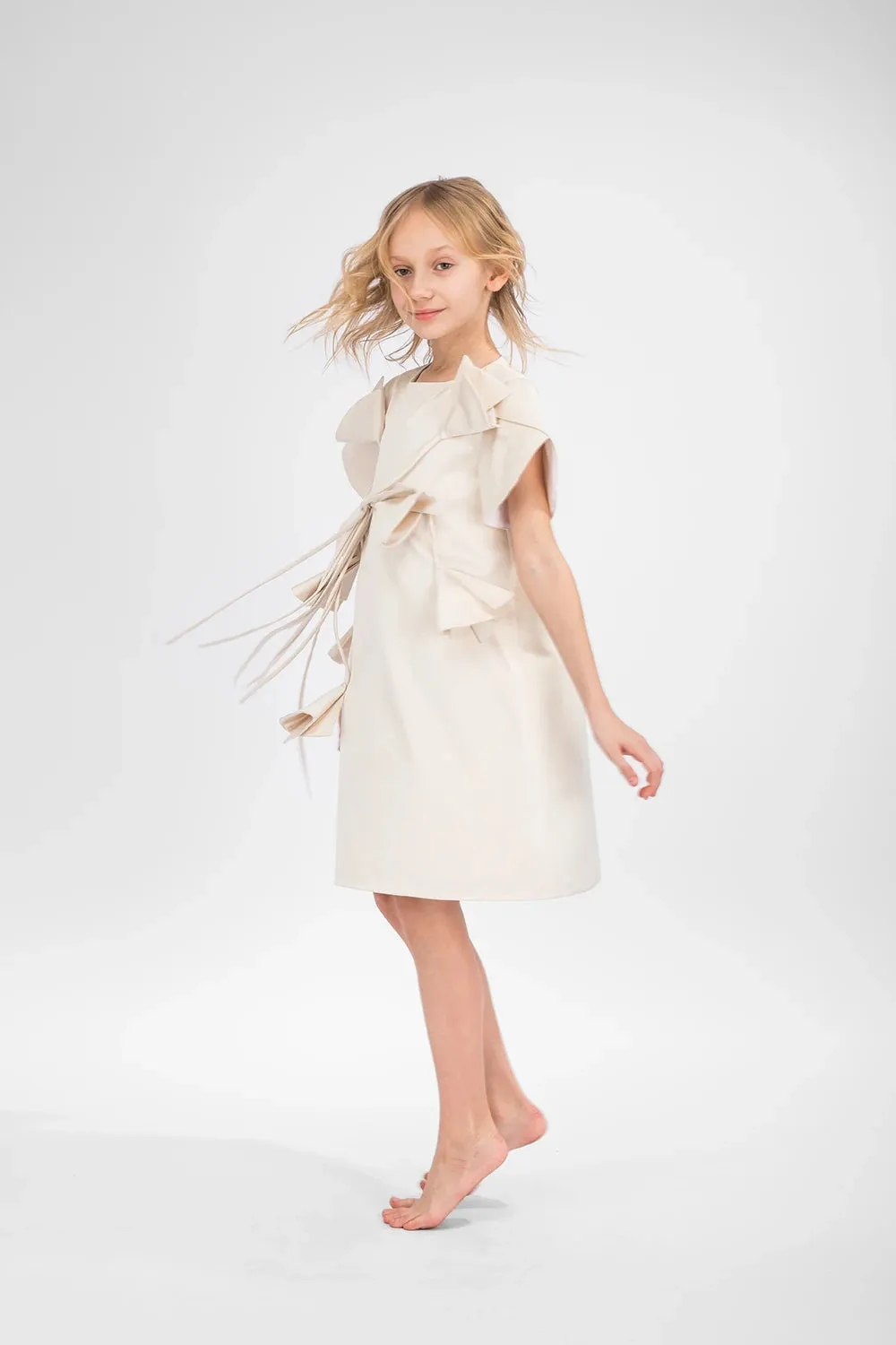 Sable Dress