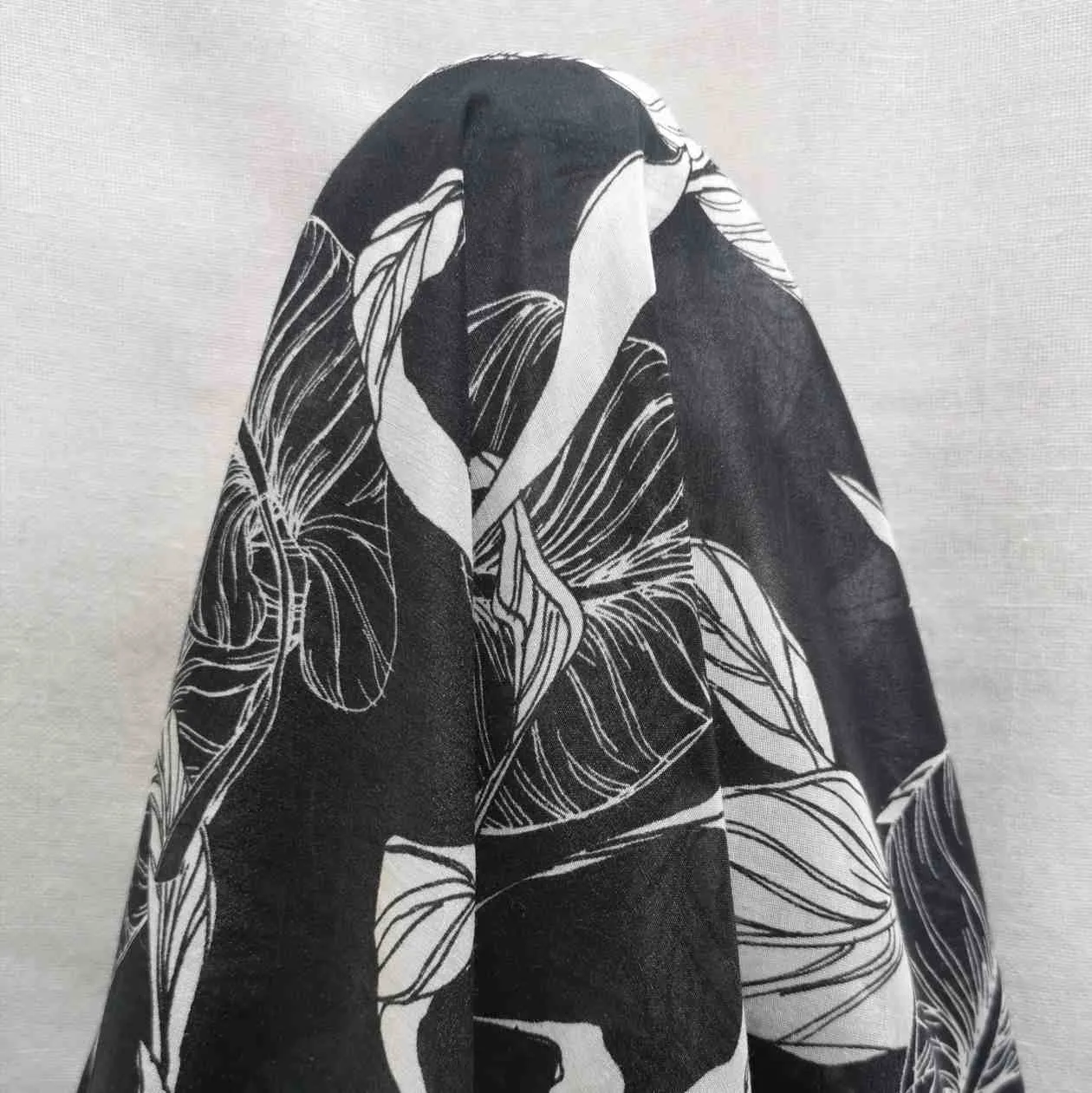 Silk Cotton, Philodendron