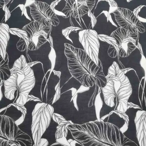 Silk Cotton, Philodendron