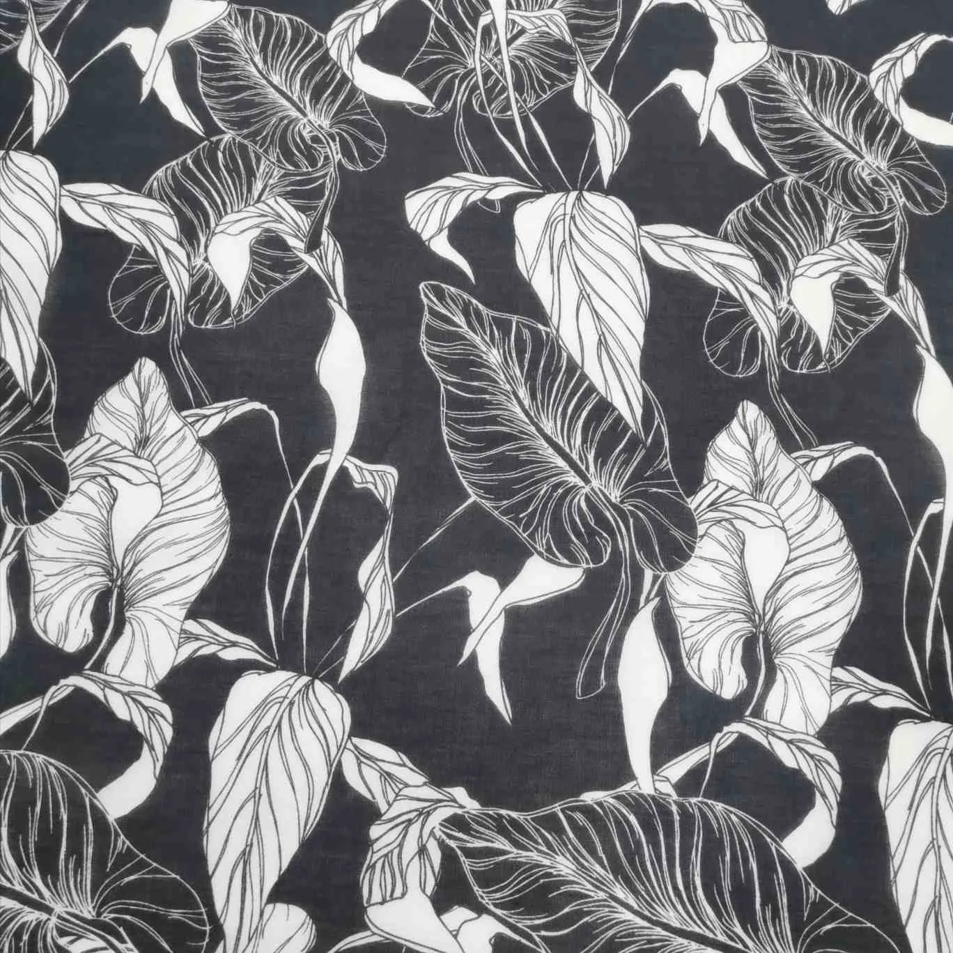 Silk Cotton, Philodendron