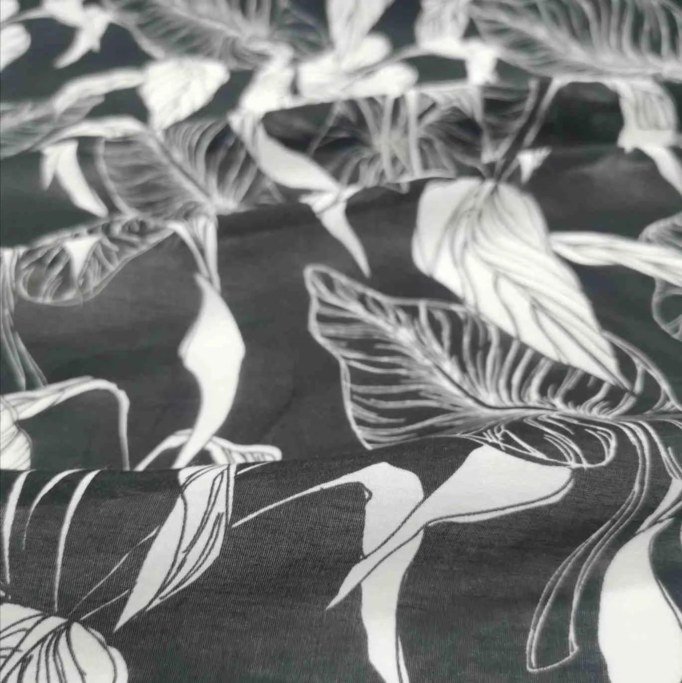 Silk Cotton, Philodendron