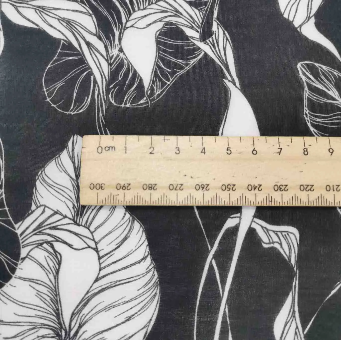 Silk Cotton, Philodendron