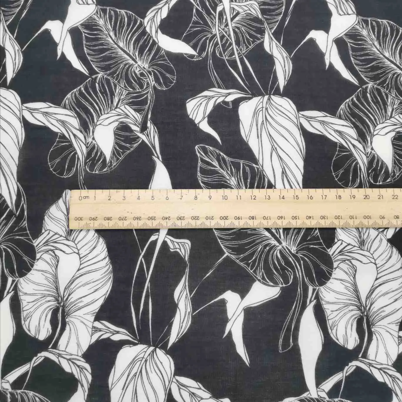 Silk Cotton, Philodendron