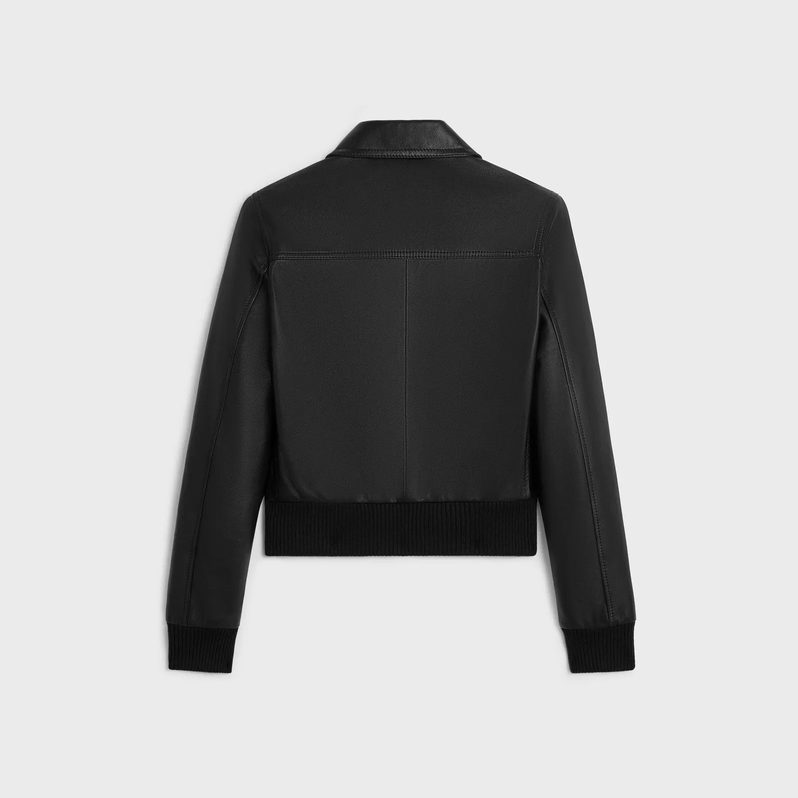Triomphe Blouson Jacket In Soft Lambskin