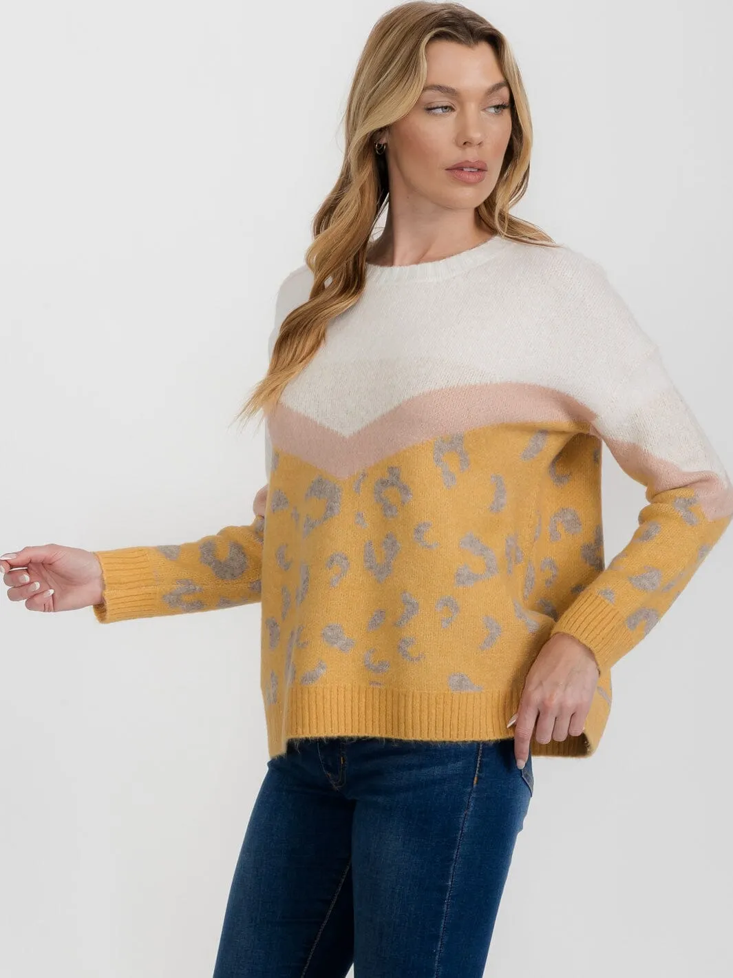 WOMEN'S LONG SLEEVE COLORBLOCK ANIMAL PRINT PULLOVER SWEATER